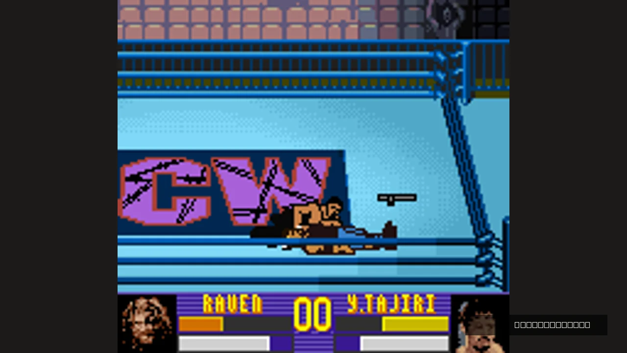 Image de jeu - ECW Hardcore Revolution