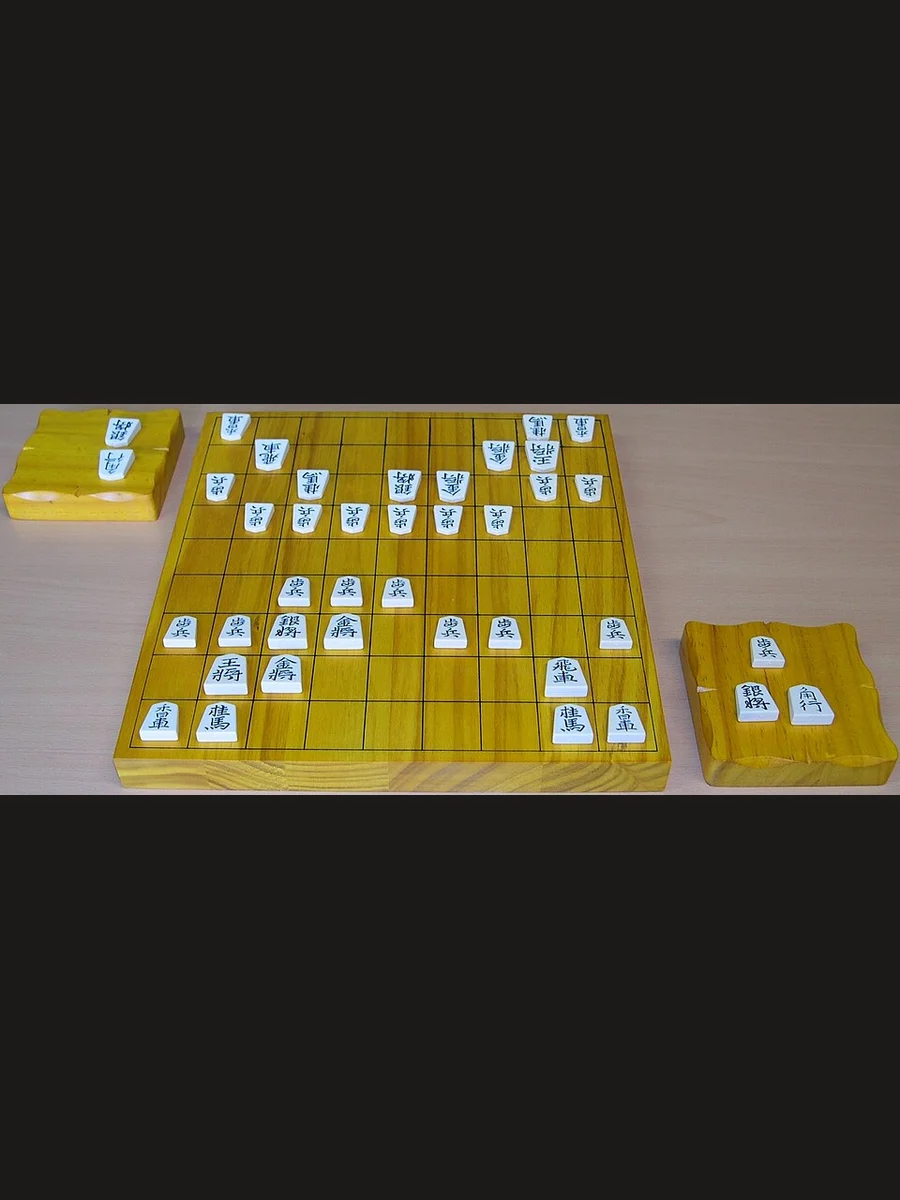 Jaquette face The Shogi