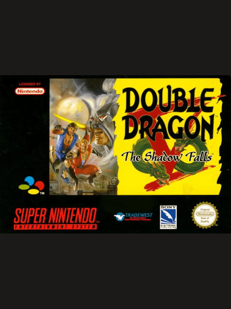 Jaquette face Double Dragon V: The Shadow Falls